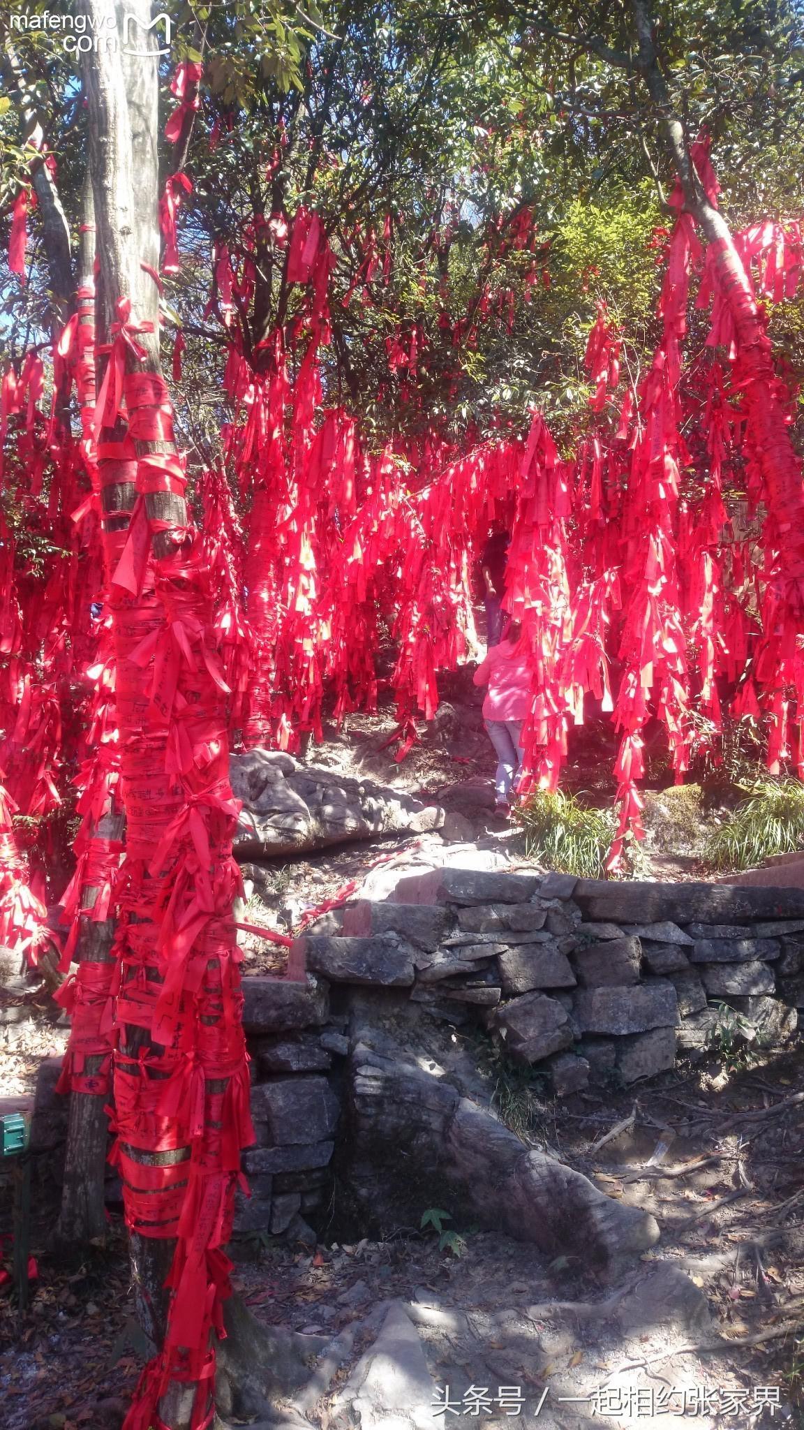 张家界机场到天门山自由行攻略,张家界天门山一日游攻略省钱