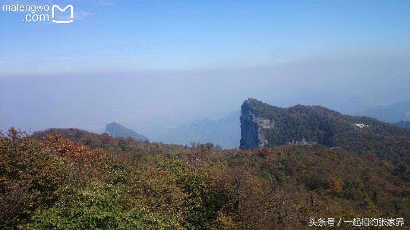 张家界机场到天门山自由行攻略,张家界天门山一日游攻略省钱