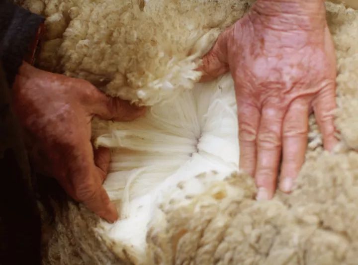 简单舒适的运动风套装搭配来啦,让夏日运动更清爽这些装备备起来