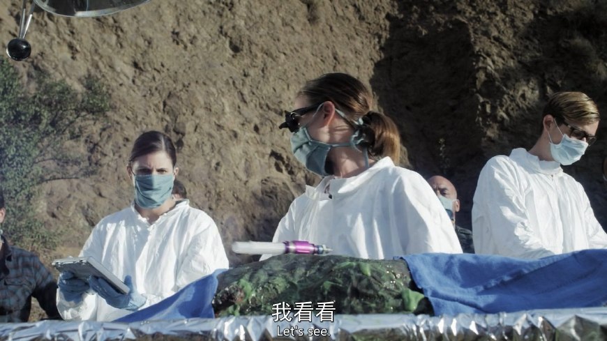 环大西洋比环太平洋2评分高,环大西洋2和环太平洋2对比