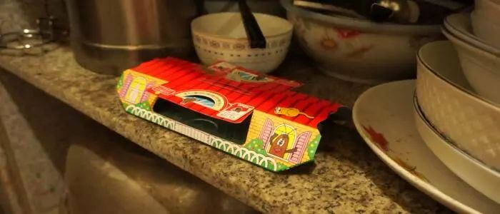 我竟然给蟑螂买了一套房子并请它喝了一罐哈尔滨？