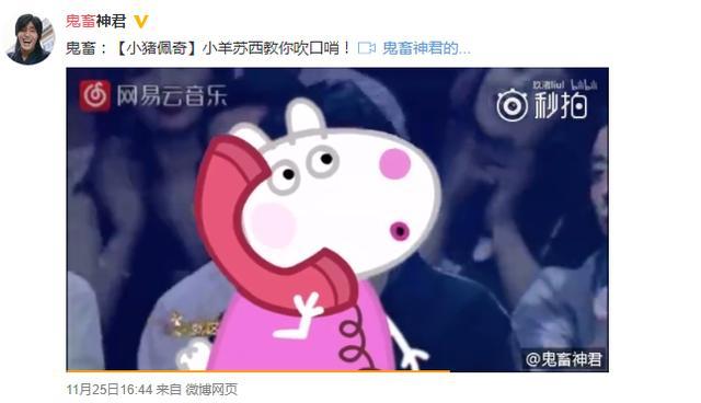 小猪佩奇为什么是粉色的猪,为什么网上这么多小猪佩奇