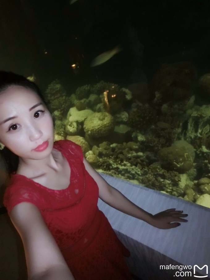 马代有毒，去过就停不下来~马尔代夫奥臻岛ozen