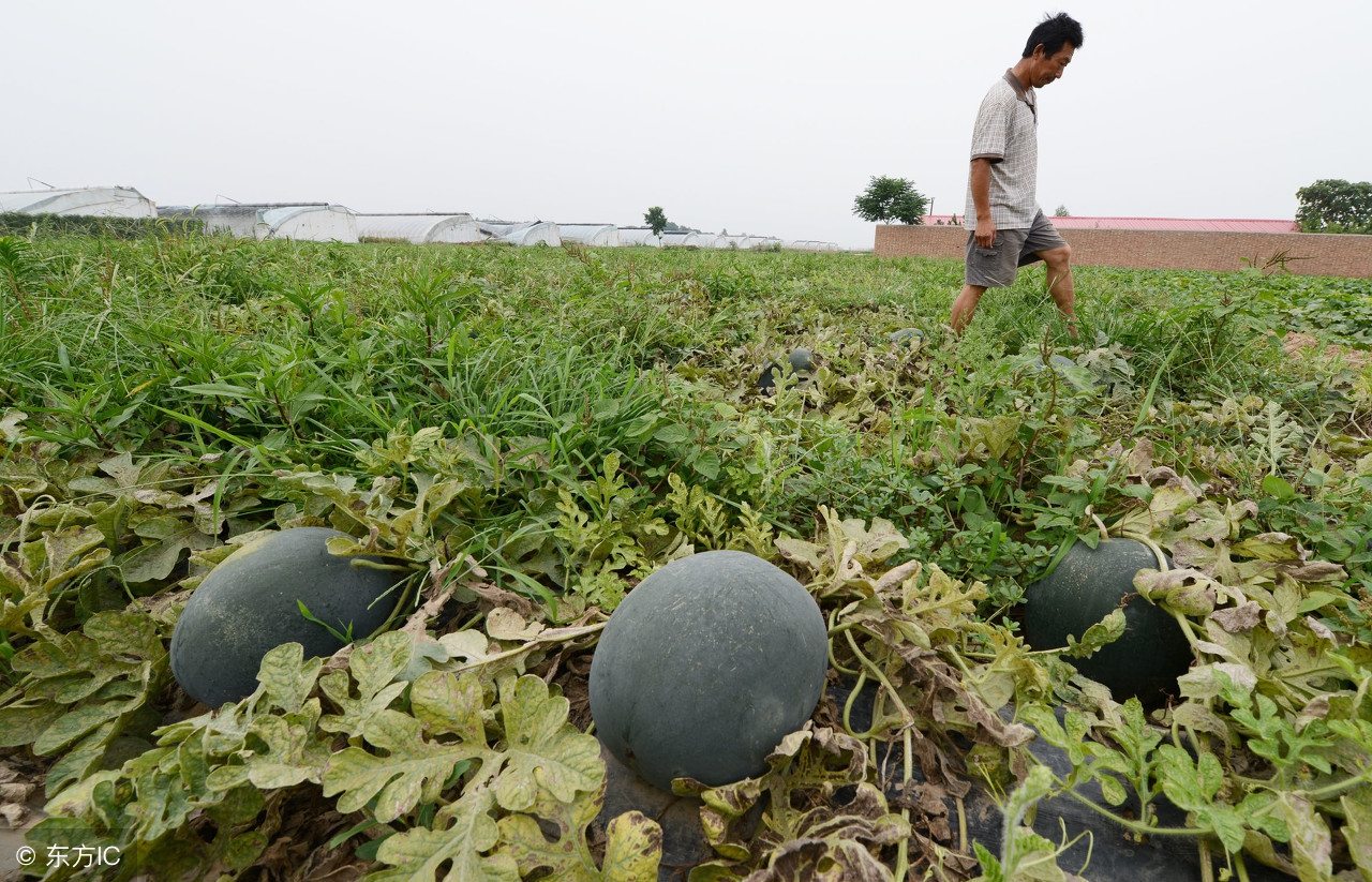 男的去世前的征兆,男孩子死亡前兆