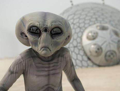 科学家认为章鱼可能是外星物种 (章鱼有可能是外星人)