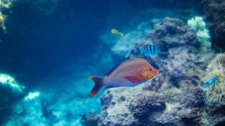 数博会在哪个位置呢,数博会近期活动