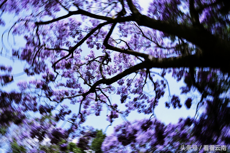 昆明，你到底得罪了谁？