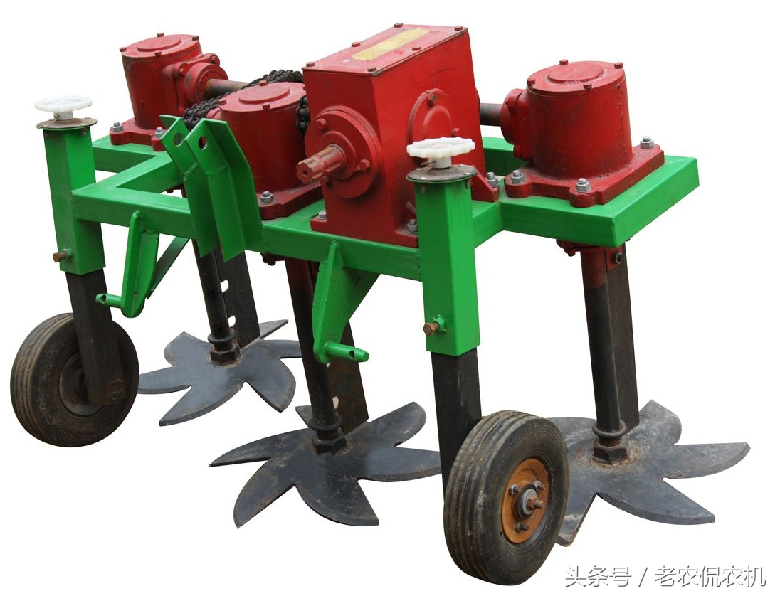 收大蒜技巧方法,下雨天收蒜视频