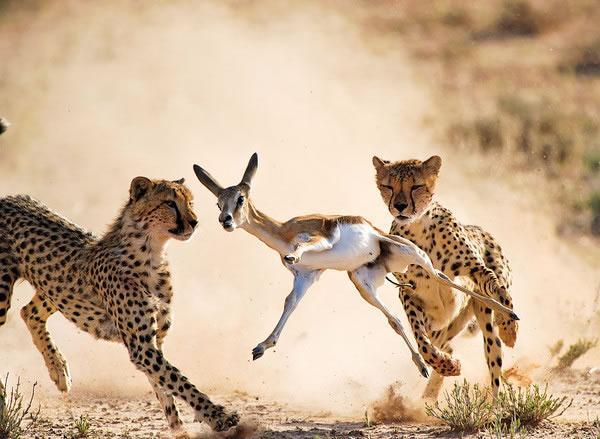 中国股市爆发跌停狂潮,中国股市一波大牛市