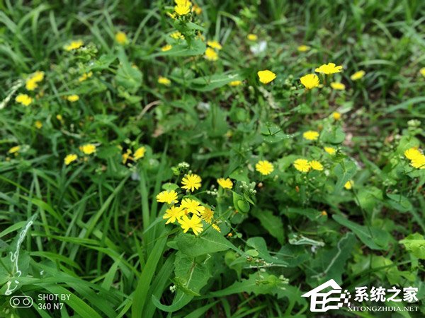 360n7好还是360n7pro好,360n7好还是360n7lite好