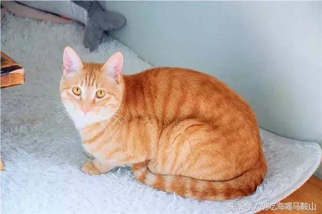 马鞍山有网红打卡基地吗,重庆马鞍山网红打卡景点