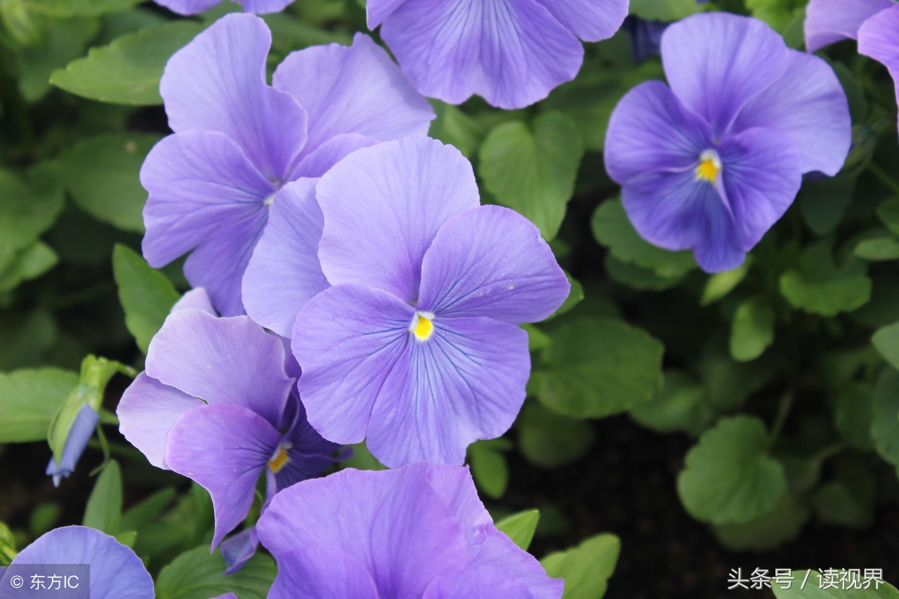 痛苦可怕吗,痛苦为什么放不下