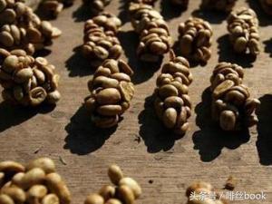 世界上最贵的咖啡猫屎咖啡,猫屎咖啡是最贵的咖啡吗