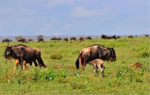国庆一定带上孩子去看看,国庆想带小孩去玩