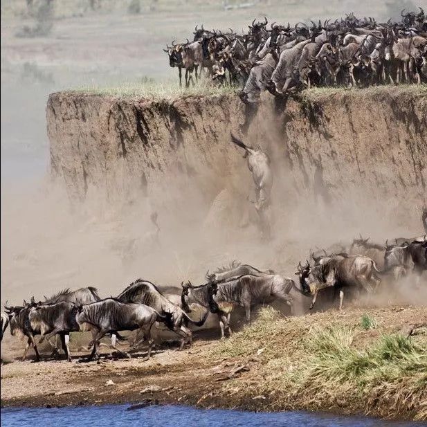 国庆一定带上孩子去看看,国庆想带小孩去玩
