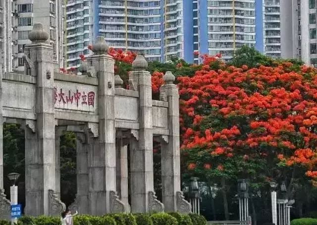 南国有嘉木的下一句是什么,南国有嘉木出处