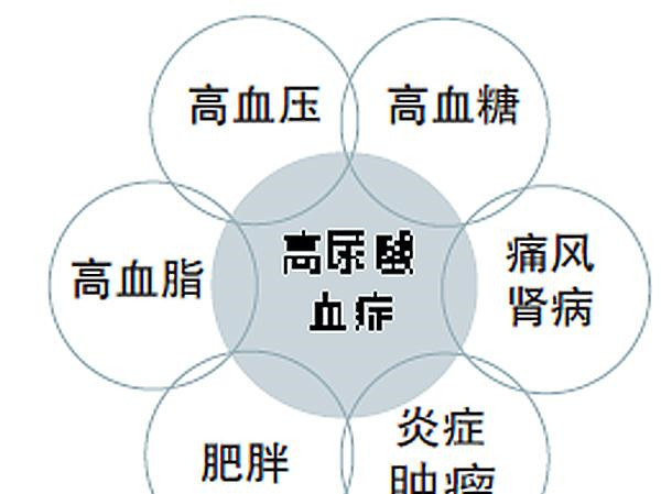 痛风高尿酸血症患者饮食注意事项,高尿酸痛风应注意哪些饮食