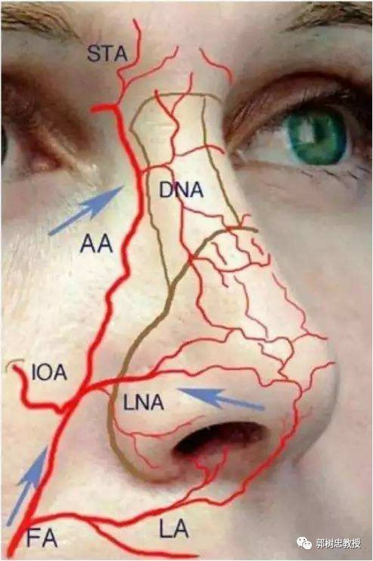 鼻整形话术,鼻整形沟通