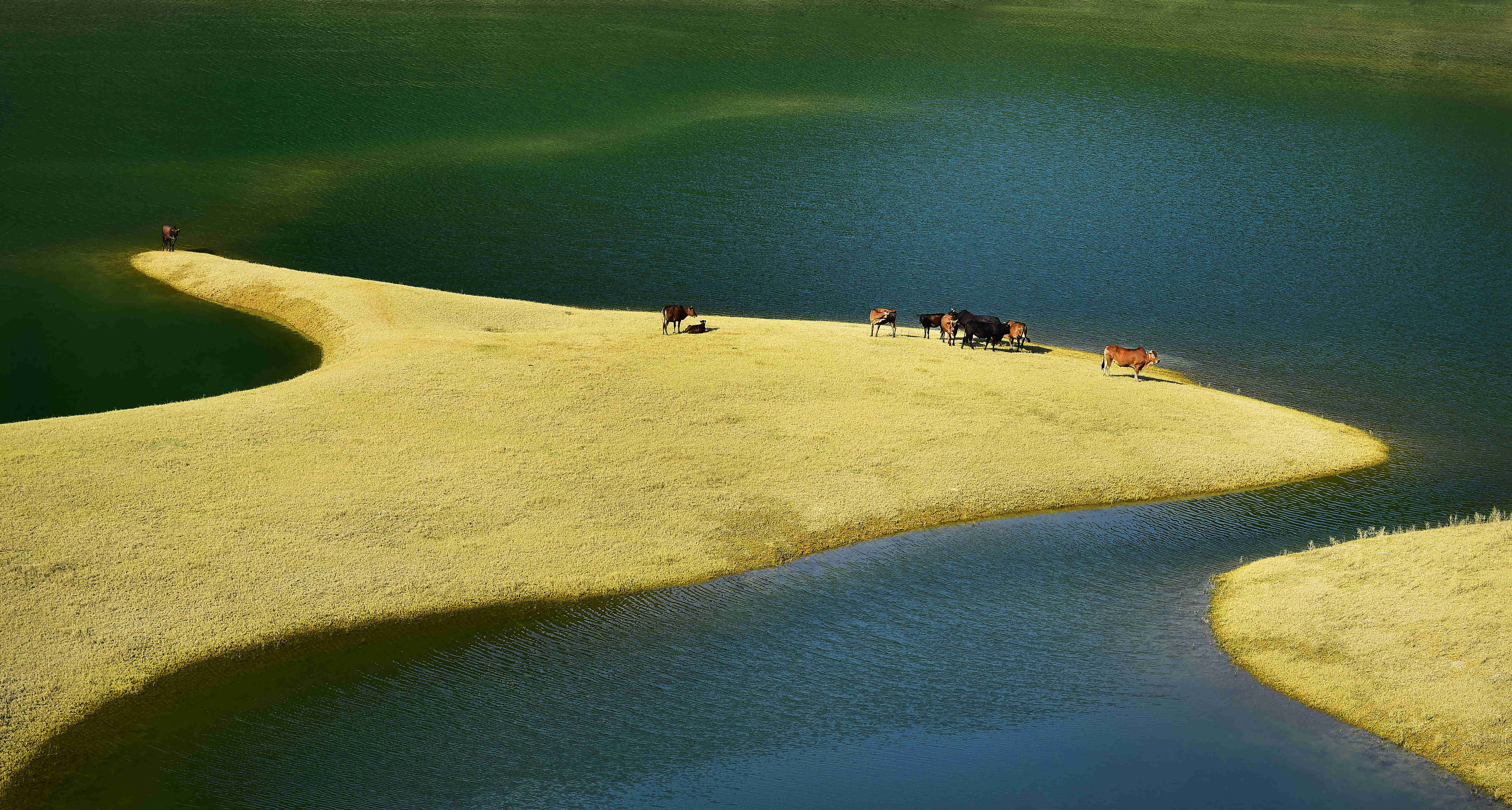 更望湖在哪,更望湖在隆安哪里