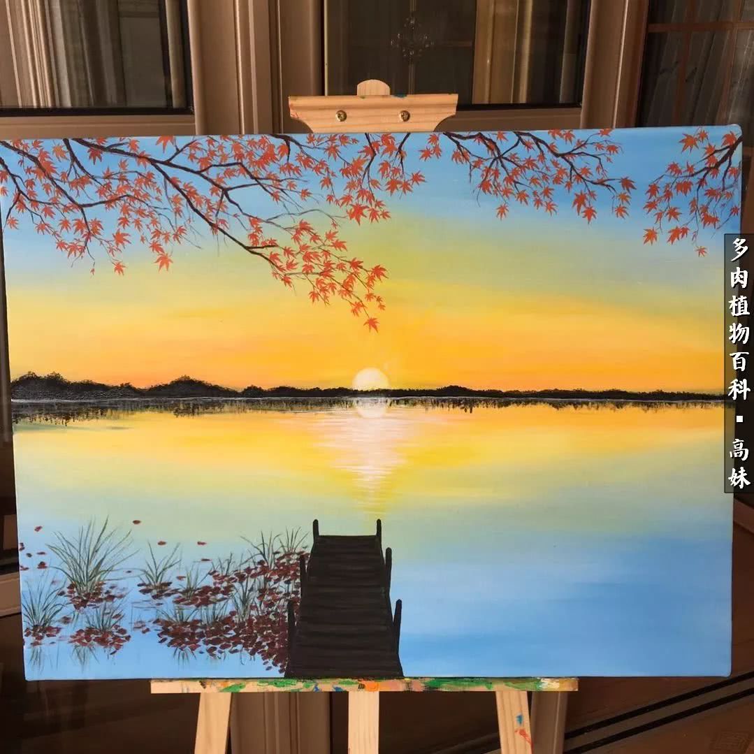 90张多肉图片——纪念入坑两周年！