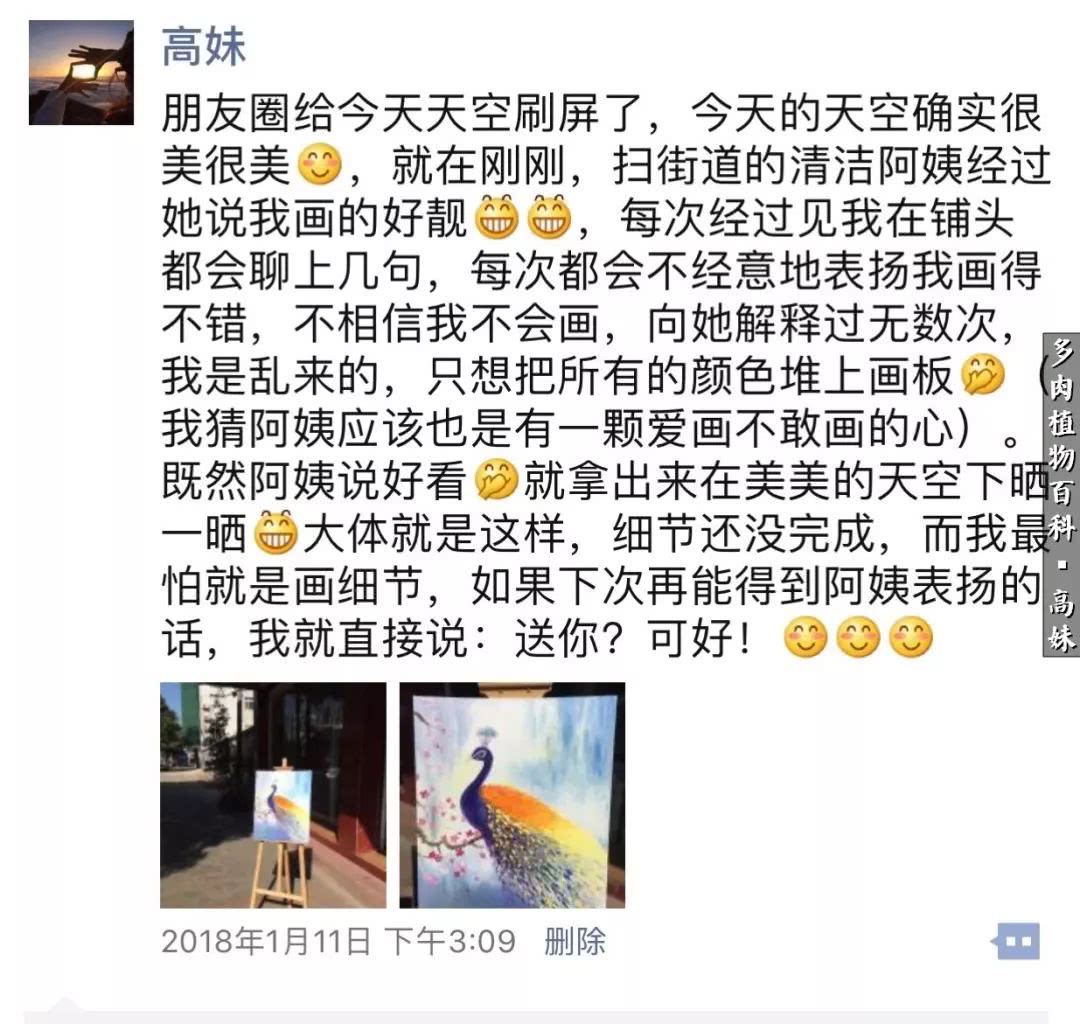 90张多肉图片——纪念入坑两周年！