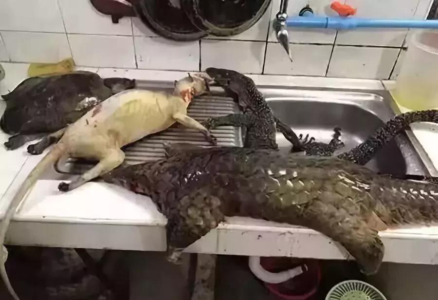 代购十大骗局揭秘图,真正的代购骗局