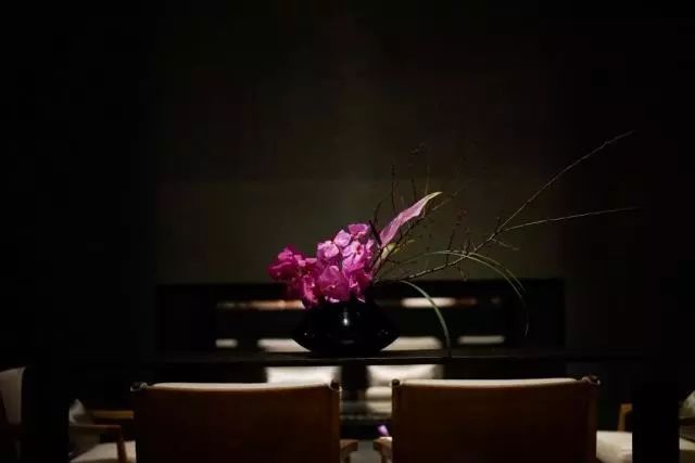 第十六期“眼界论坛”精彩亮相！｜爱花之人，必是情愫满满