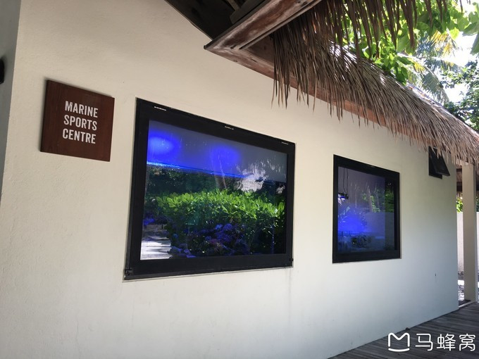 蜜月之都马尔代夫,蜜月旅行之马尔代夫