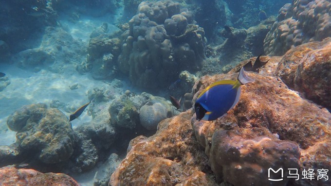 蜜月之都马尔代夫,蜜月旅行之马尔代夫
