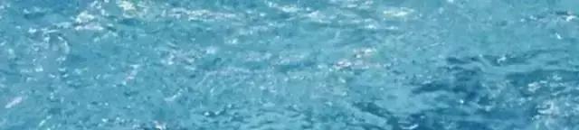 知乎上点赞最高的十条神回复,来自知乎的32个神回复笑死我了