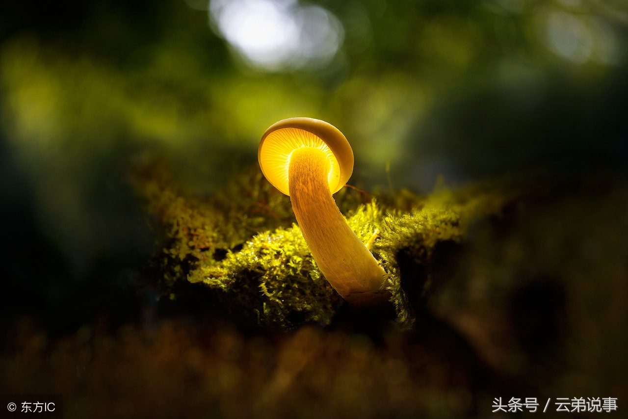 心不屈，定不凡，30余载资深风水王师傅教你如何面对人生无常！