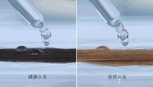 戴森的吹风机为什么很贵 (戴森的吹风机为什么那么贵)