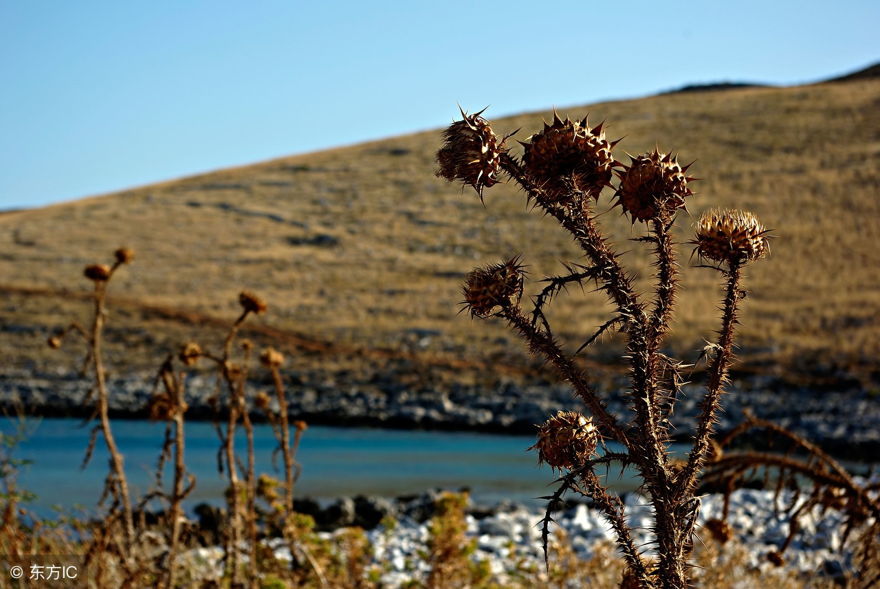 有钱与值钱的区别,有钱的人有价值的人