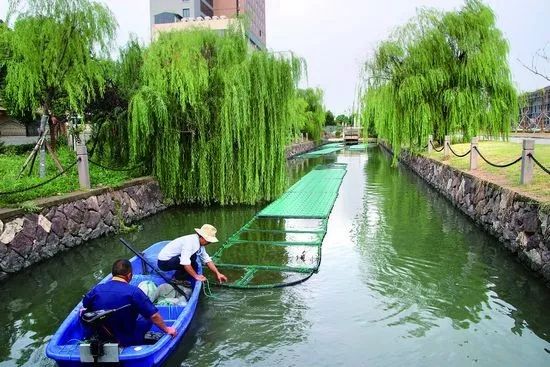 浙江日报刊文点赞舟山,浙江日报点赞黄岩