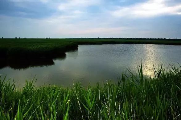 免费半价全国景点大优惠来啦,邯郸5月份免门票景区
