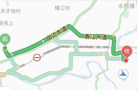 傅园慧全运会游泳比赛视频,宁泽涛和傅园慧在里约热内卢合照