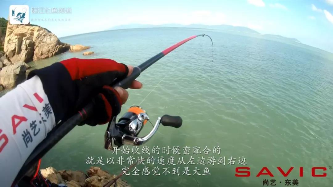 台山漭洲岛海钓,台山漭洲岛游玩攻略