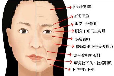 美博会美容展,美博会现场美容仪器