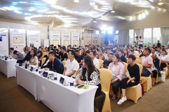 国货之光衡美肤：对核心技术的追逐永不停歇