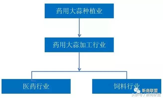 条条大道通罗马：中国民营企业55种融资方式