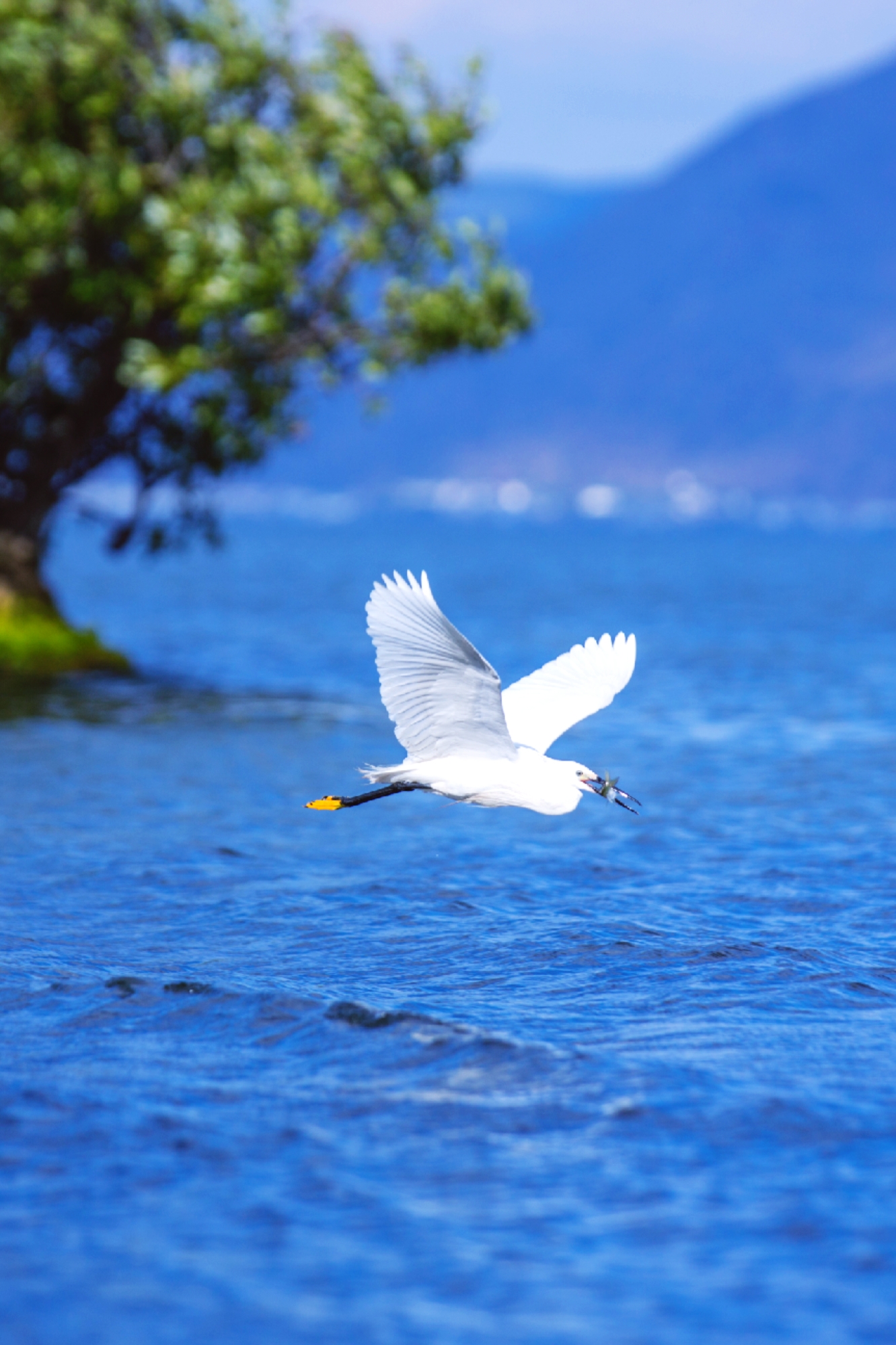 大理每个季节都很美,在大理每天都是那么的美好