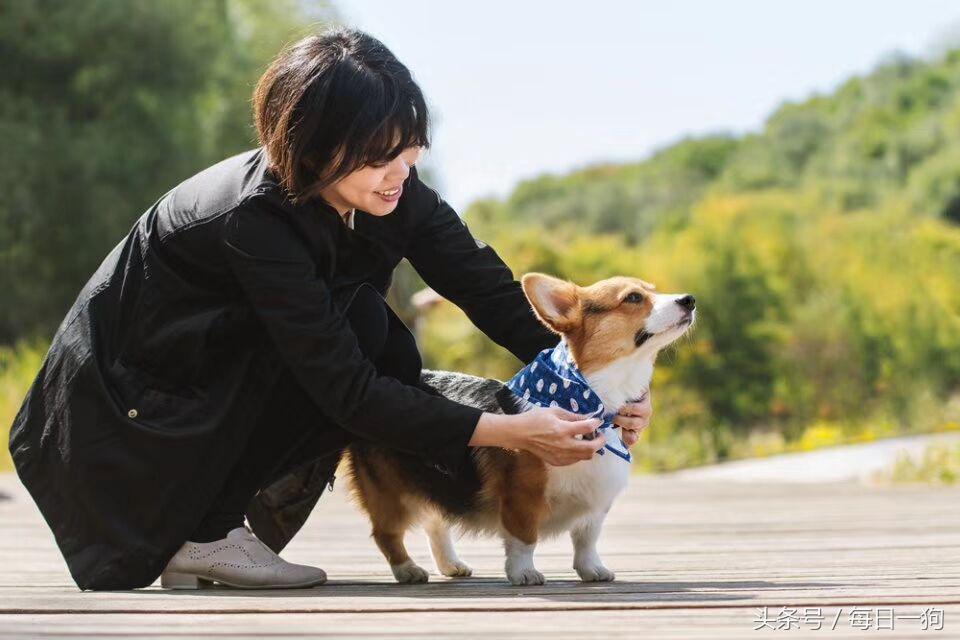 失去了心爱的小动物是种怎样的痛？应该如何走出来？
