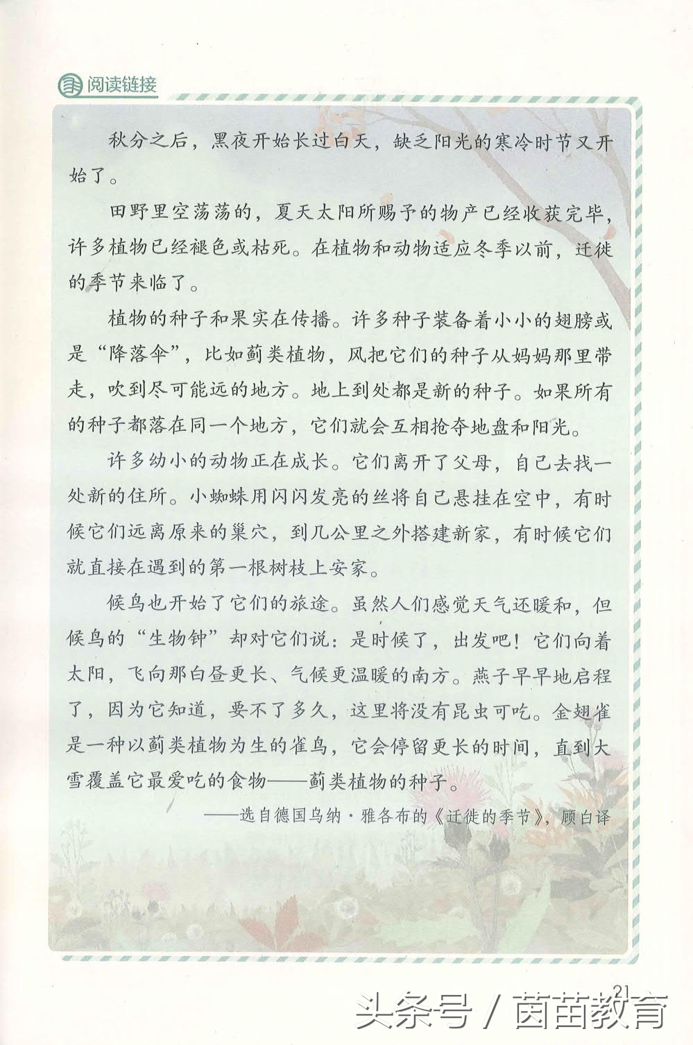 部编新人教版三年级下册语文书,部编版新人教版三年级语文