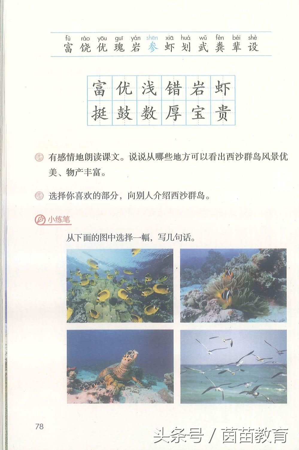 部编新人教版三年级下册语文书,部编版新人教版三年级语文