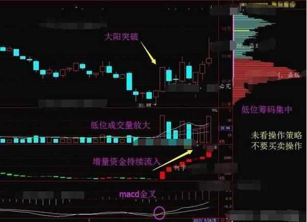 中国股市最终还是进入“自杀时代”：两亿散户颜面尽失！