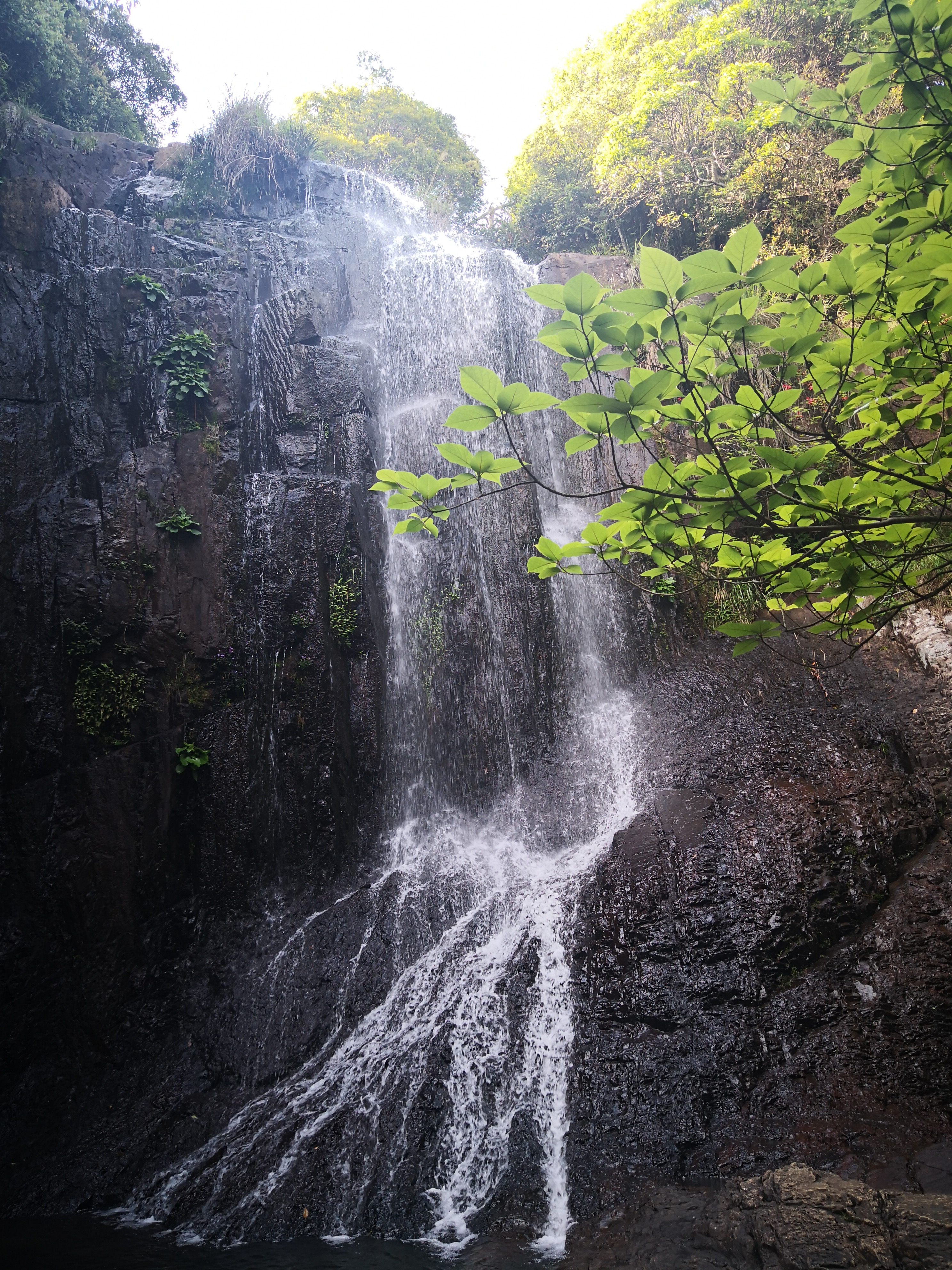 福建儿时的记忆山上的野果,福建山上秋天野果