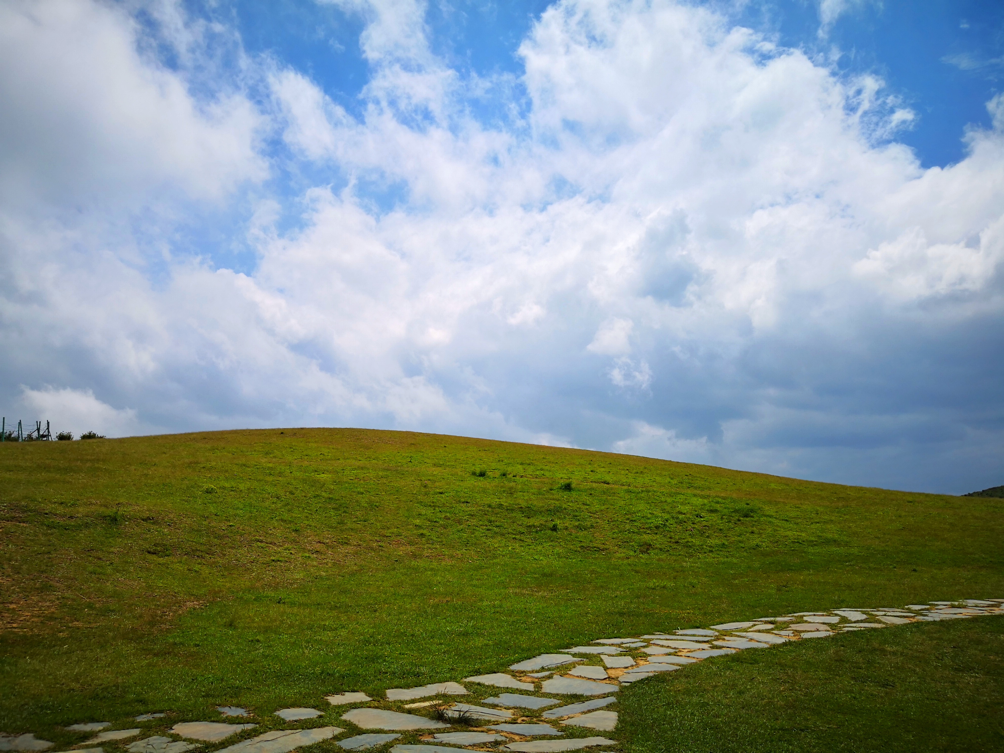 福建儿时的记忆山上的野果,福建山上秋天野果