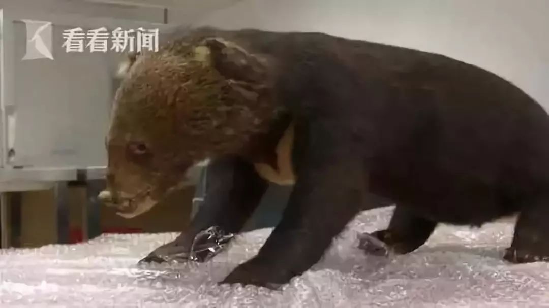 代购骗局揭秘朋友圈,代购十大骗局揭秘图