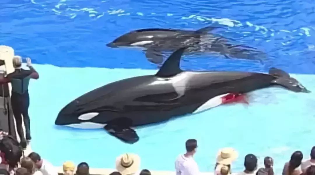 朋友圈代购低价套路,朋友圈里卖低价服装的真相