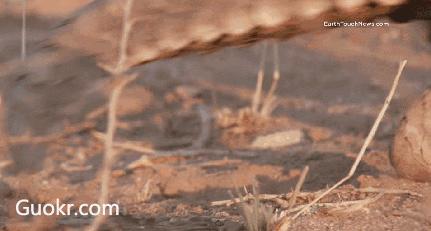 代购骗局揭秘朋友圈,代购骗局朋友圈